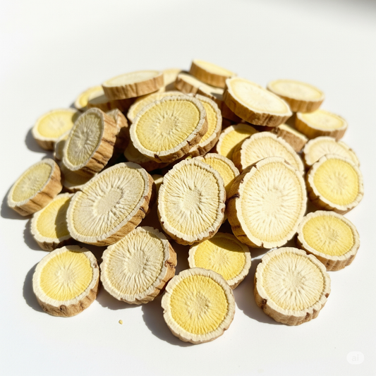 Astragalus