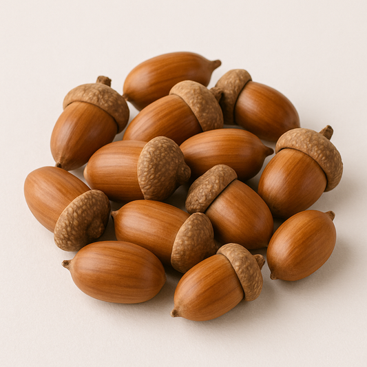 Acorns (Oak tree nuts)