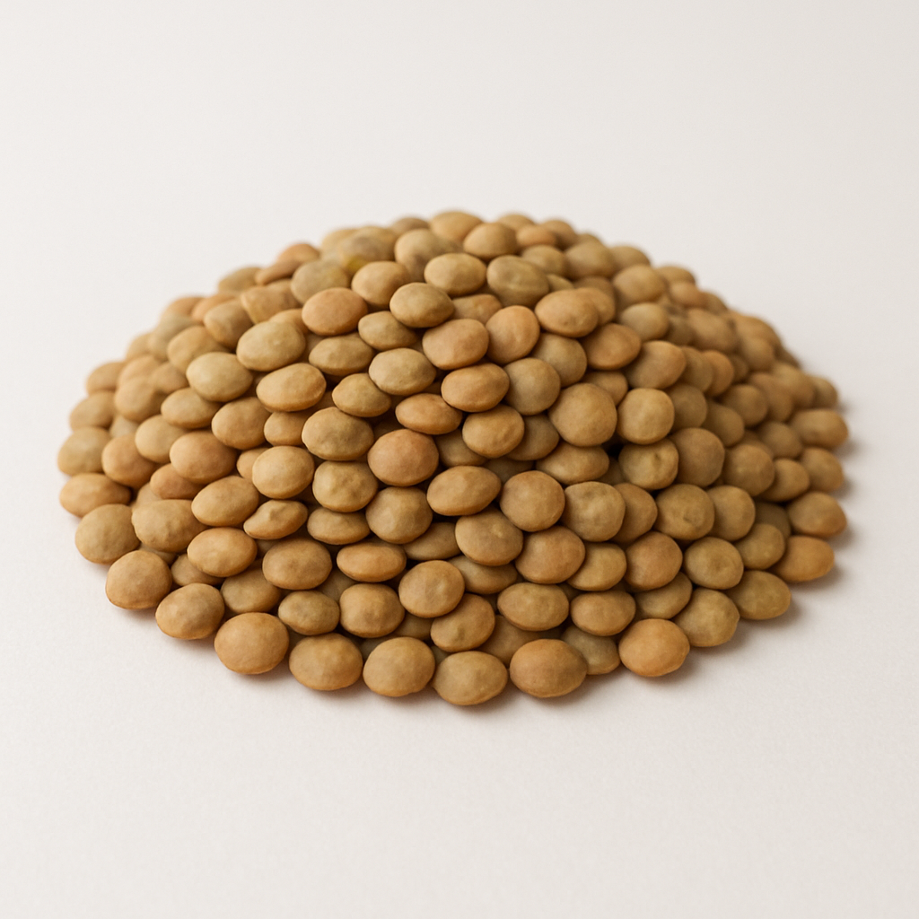 Lentils (various types)